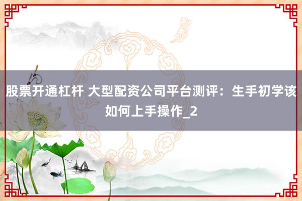 股票开通杠杆 大型配资公司平台测评:生手初学该如何上手操作_2