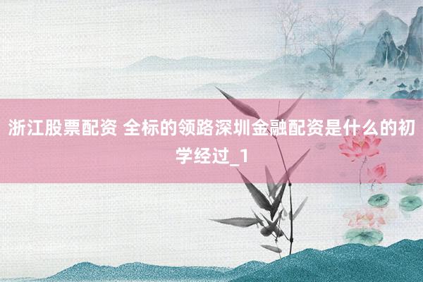 浙江股票配资 全标的领路深圳金融配资是什么的初学经过_1